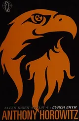 Cover of Cyrch Eryr