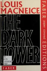 Cover of The dark tower