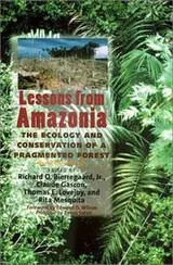 Cover of Lessons from Amazonia