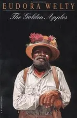 Cover of The golden apples