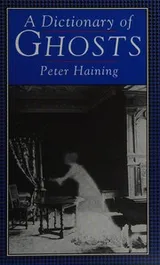 Cover of A Dictionary of Ghosts