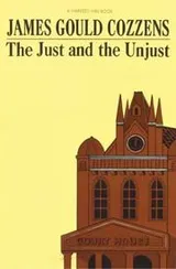 Cover of The just and the unjust