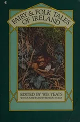 Cover of Fairy and folk tales of Ireland