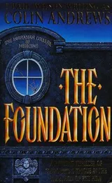Cover of The foundation