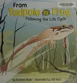 Cover of From tadpole to frog