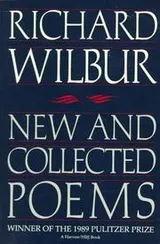 Cover of New and Collected Poems