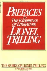 Cover of Preface to the Experience of Literature