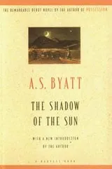 Cover of Shadow of a sun