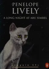 Cover of A long night at Abu Simbel