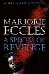 Cover of A species of revenge