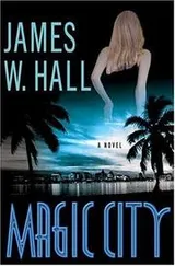 Cover of Magic City