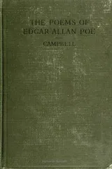 Cover of The Poems of Edgar Allan Poe