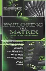 Cover of Exploring the Matrix