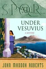 Cover of SPQR XI