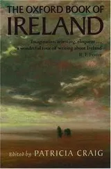 Cover of The Oxford book of Ireland