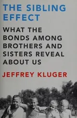 Cover of The sibling effect