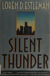 Cover of Silent thunder