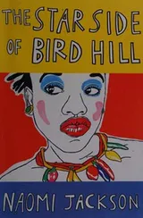 Cover of The Star Side of Bird Hill