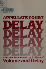 Cover of Appellate court delay
