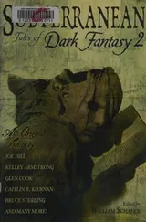 Cover of Subterranean