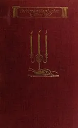 Cover of The Venetian glass nephew
