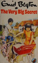 Cover of The very big secret