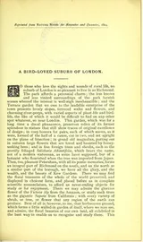 Cover of A bird-loved suburb of London
