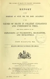 Cover of Report to the secretary of state for the home department on the causes of death in colliery explosions and underground fires, with special reference to the explosions at Tylorstown, Brancepeth and Micklefield