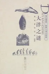 Cover of Da yang zhi mi