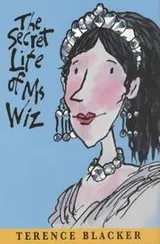 Cover of The Secret Life of Ms.Wiz (Ms Wiz)