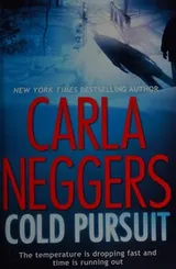 Cover of Cold Pursuit