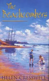 Cover of The beachcombers