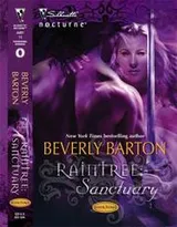 Cover of Raintree