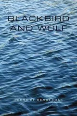 Cover of Blackbird and wolf