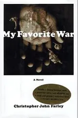 Cover of My favorite war