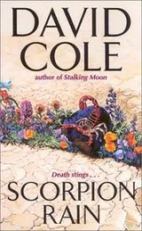 Cover of Scorpion rain