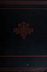 Cover of The seamy side