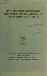 Cover of Seven new white-winged doves from Mexico, Central America, and Southwestern United States