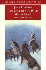 Cover of The Call of the Wild, White Fang, and Other Stories