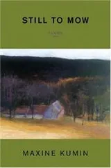 Cover of Still to Mow