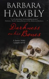 Cover of Darkness on His Bones