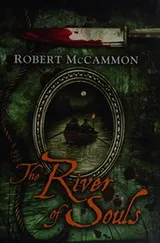 Cover of The river of souls