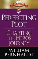 Cover of Perfecting Plot