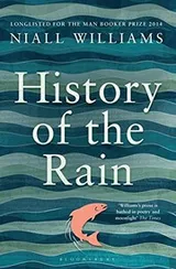 Cover of History of the Rain