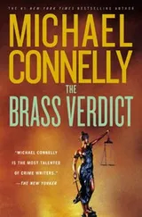 Cover of The Brass Verdict
