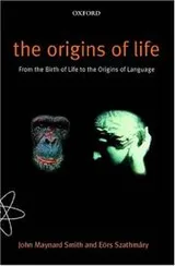 Cover of The Origins of Life