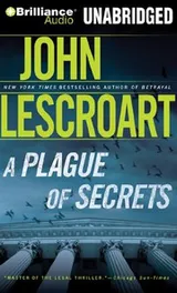 Cover of A Plague of Secrets