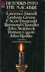 Cover of Detours into the Macabre