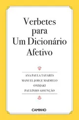 Cover of Verbetes para Um Dicionário Afetivo