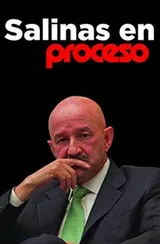 Cover of Salinas En Proceso